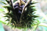 /album/nahlikova-senica-3-miesto-/dnes-a-zajtra-i-jpg/